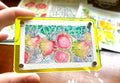 Watermelon Radish original Magnet