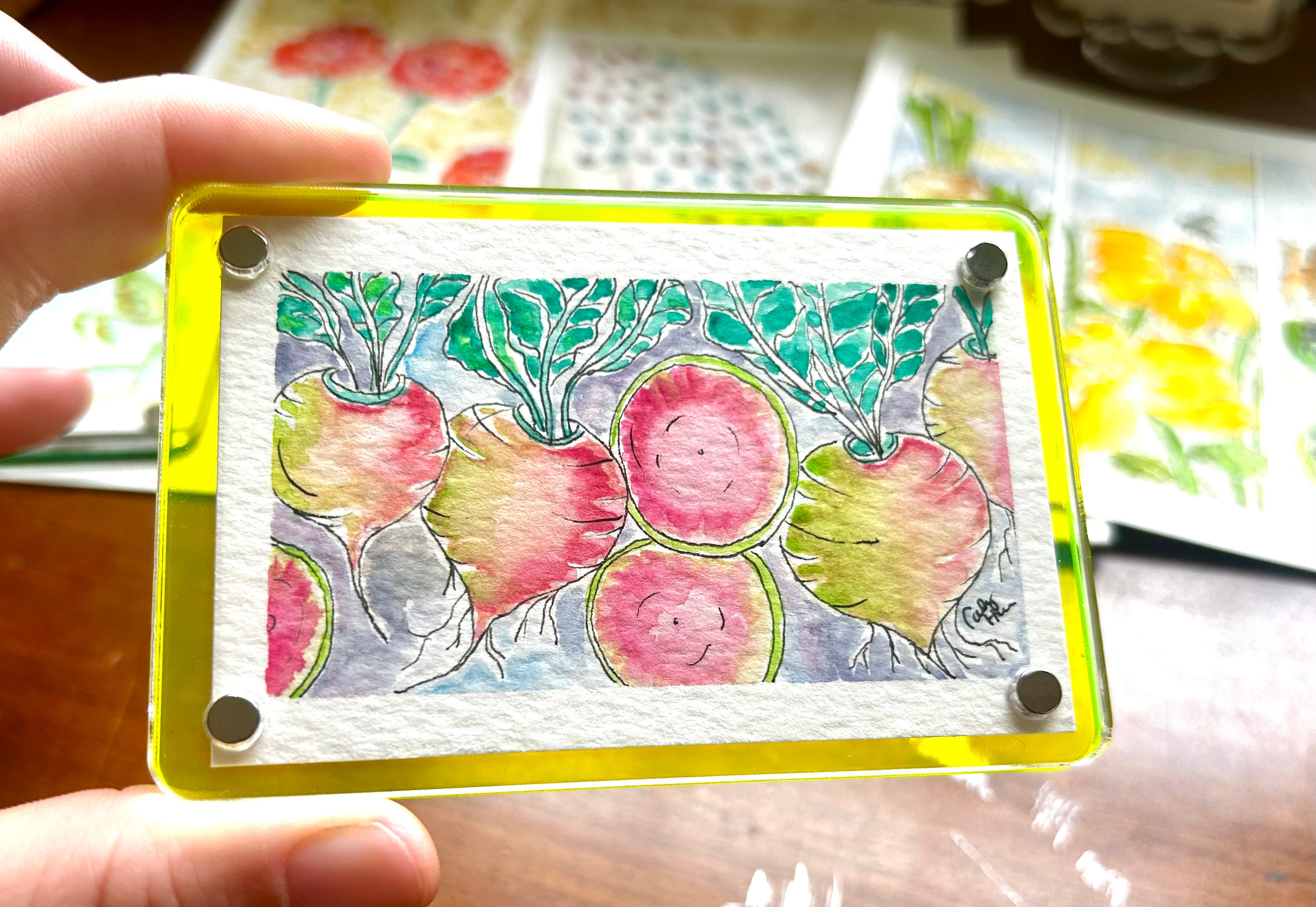 Watermelon Radish original Magnet