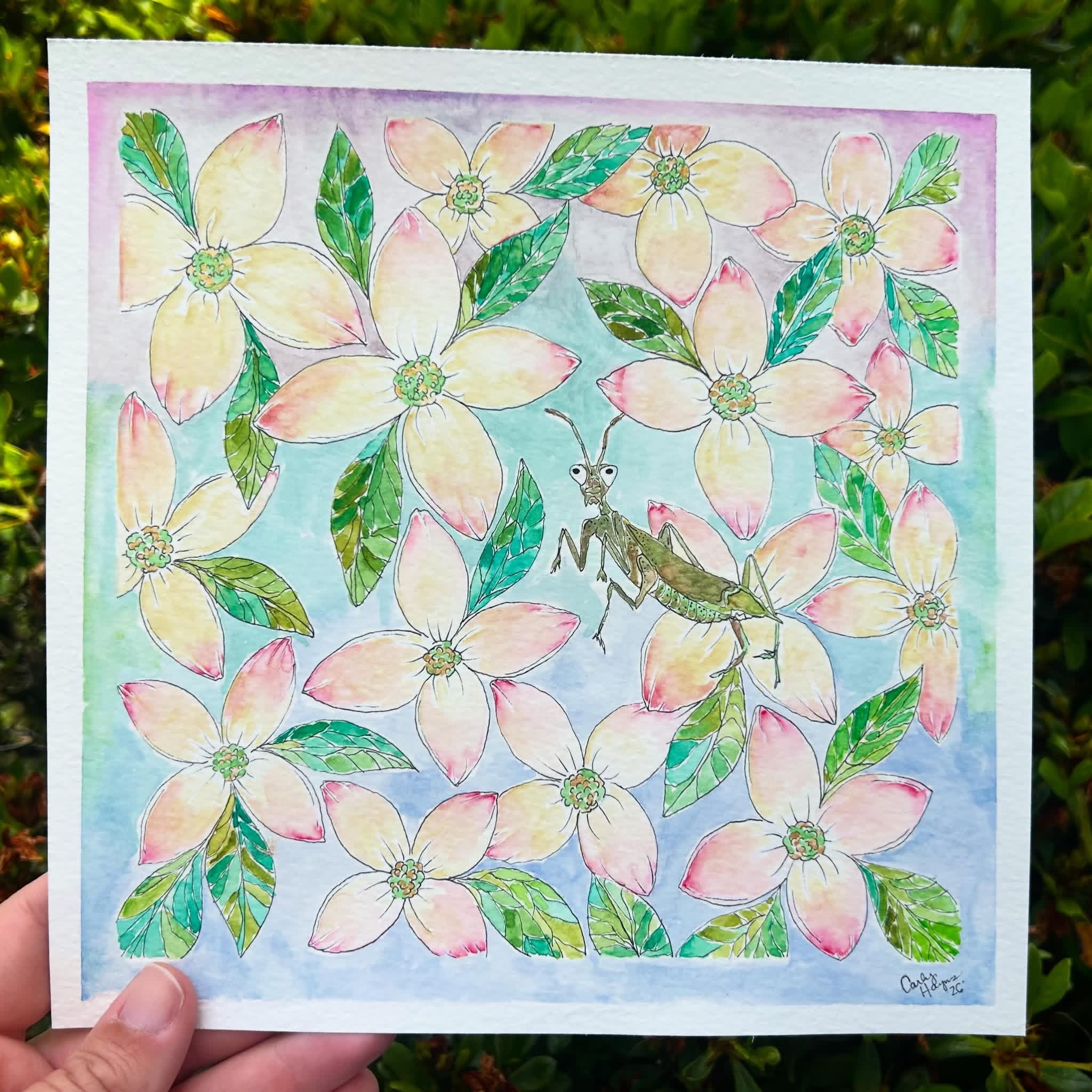 Dogwood Mantis (Original)